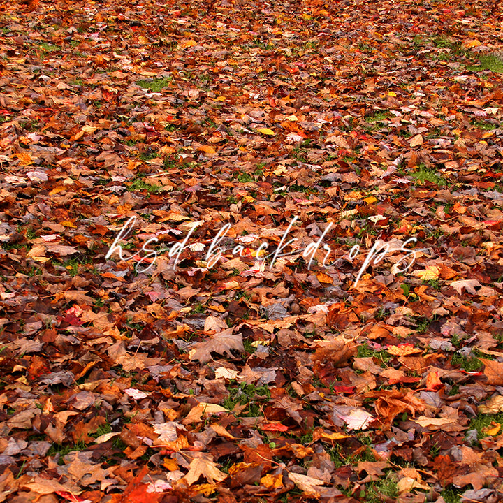 Autumn leaves photography floor backdrop