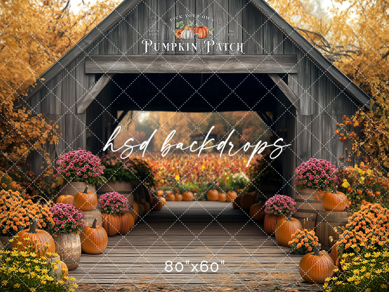 Fall Back Backdrop Rustic Barn Fall Pumpkin Patch Photo Backdrop – HSD Photography Backdrops
