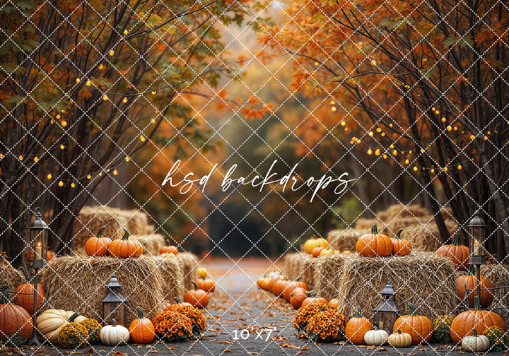 Harvest Hay & Pumpkins Lane (sweep options)
