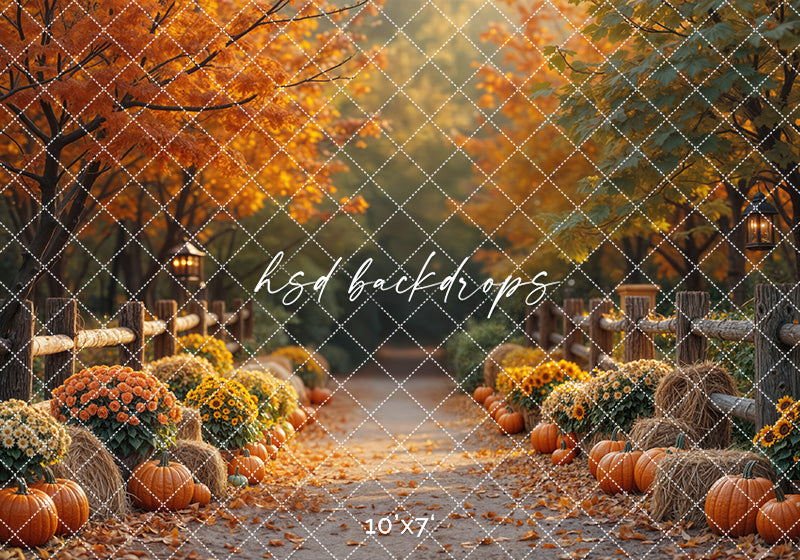 Autumn Lane at Golden Hour (sweep options)