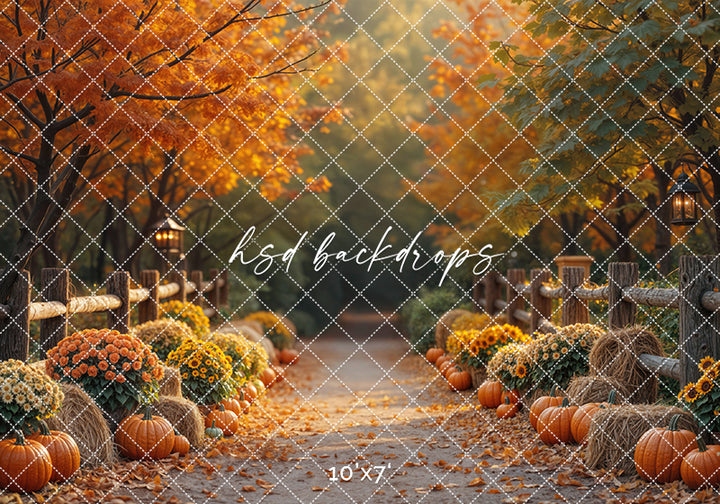 Autumn Lane at Golden Hour (sweep options)