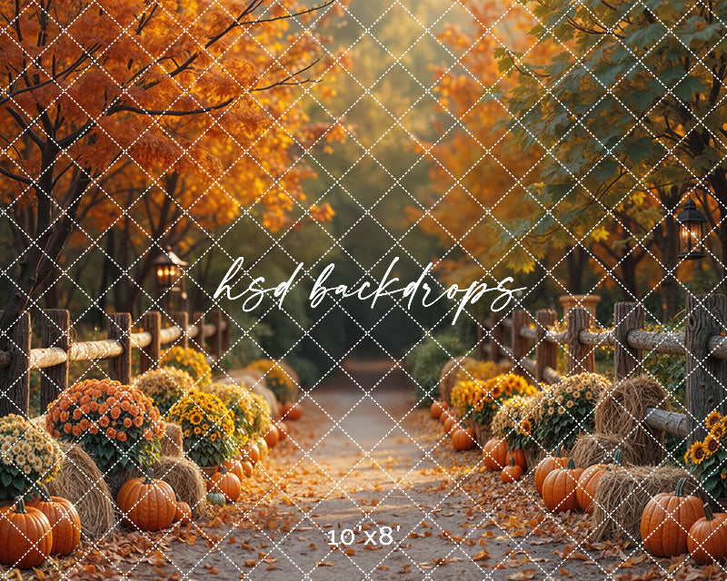 Autumn Lane at Golden Hour (sweep options)