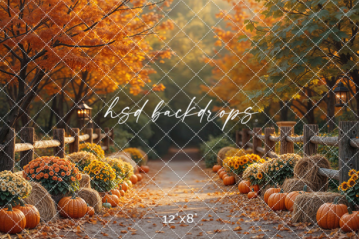 Autumn Lane at Golden Hour (sweep options)