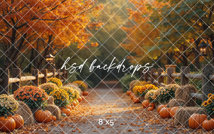 Autumn Lane at Golden Hour (sweep options)