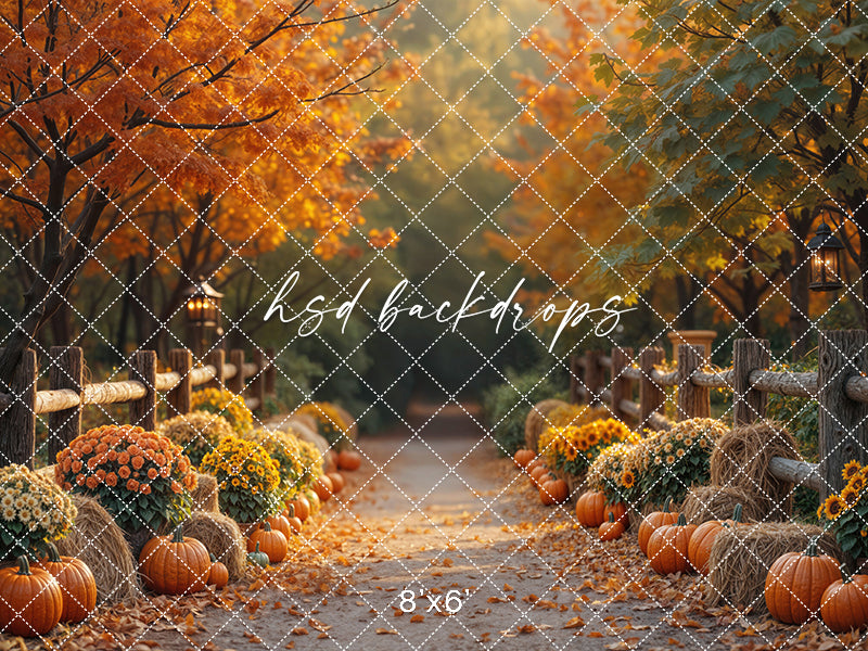 Autumn Lane at Golden Hour (sweep options)