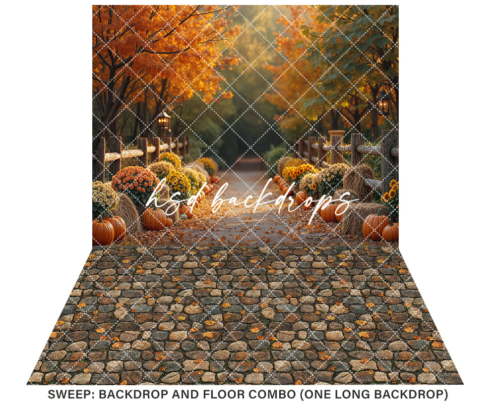 Autumn Lane at Golden Hour (sweep options)