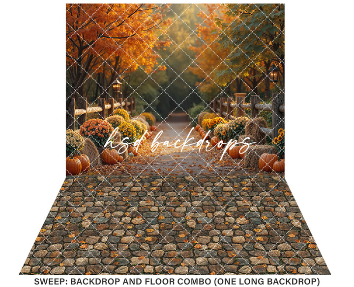 Autumn Lane at Golden Hour (sweep options)