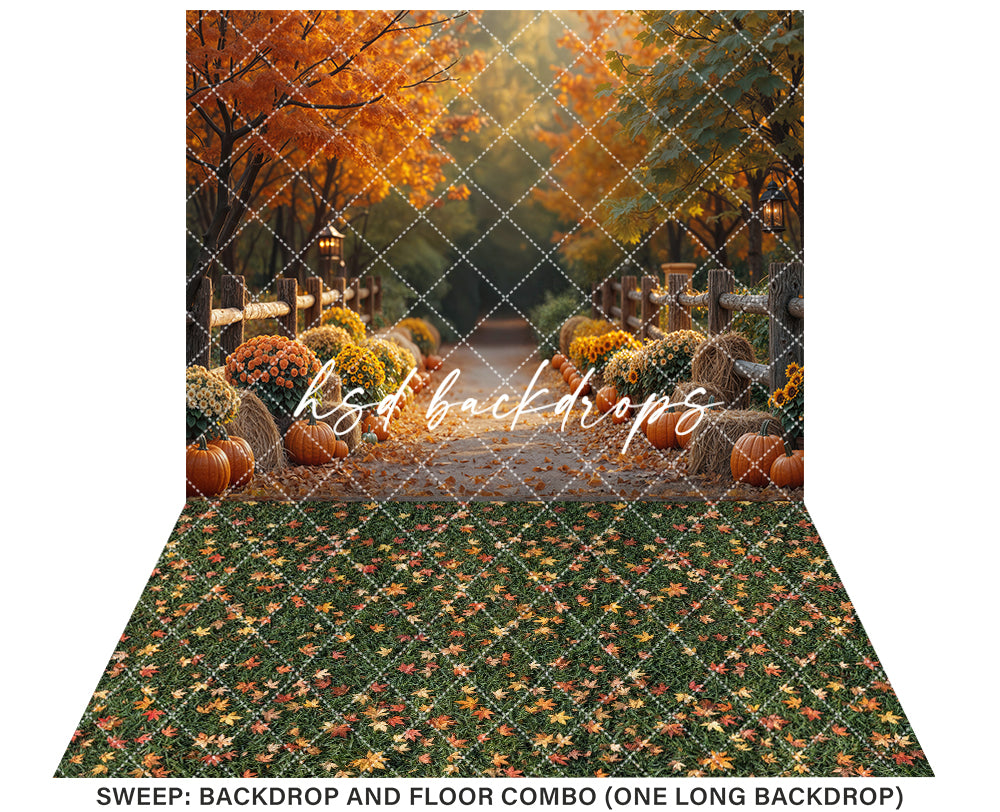 Autumn Lane at Golden Hour (sweep options)