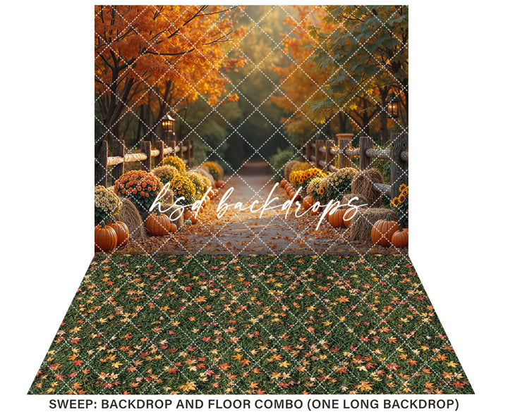 Autumn Lane at Golden Hour (sweep options)