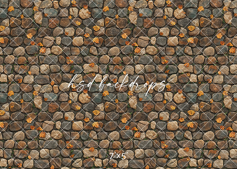 Rustic Stone Floor with Fall Leaves Photography Backdrop – HSD ...