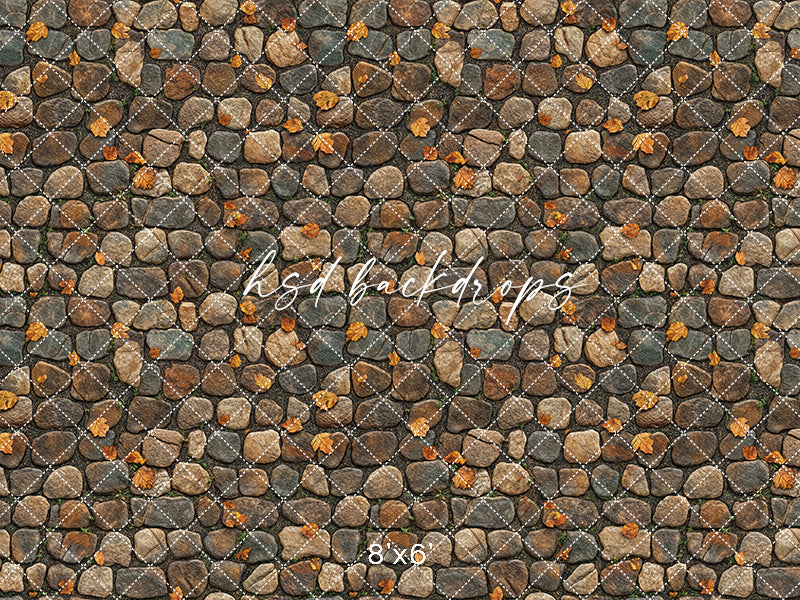 Day Fall Stone Rustic Stone Floor with Fall Leaves Photography Backdrop – HSD ...