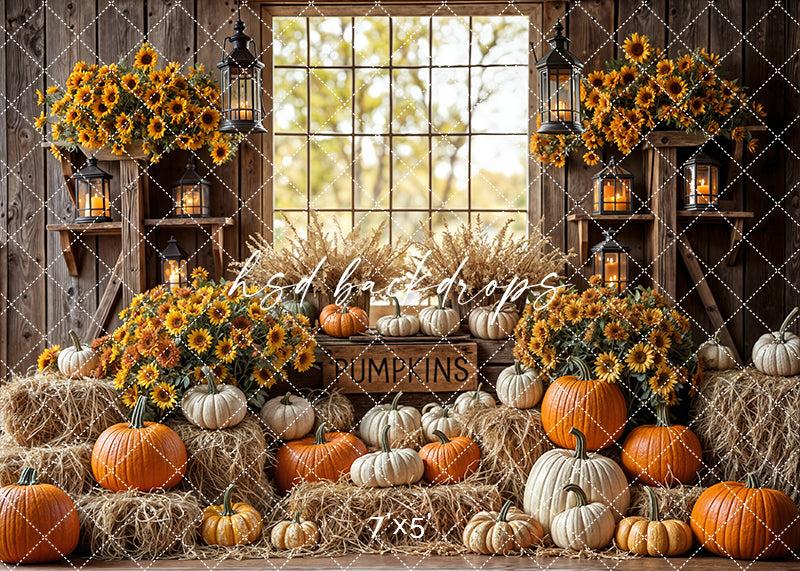 Fall Back Backdrops Rustic Fall Window Backdrop with Pumpkins, Hay Bales & Sunflowers – HSD ...
