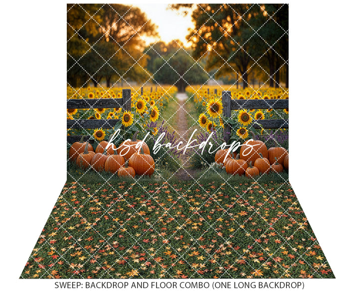Pumpkin & Sunflower Path (sweep options)