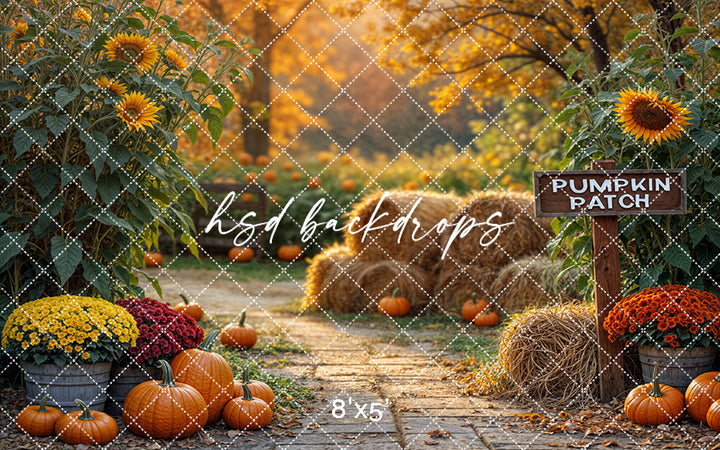 Pumpkin Patch Lane (sweep options)