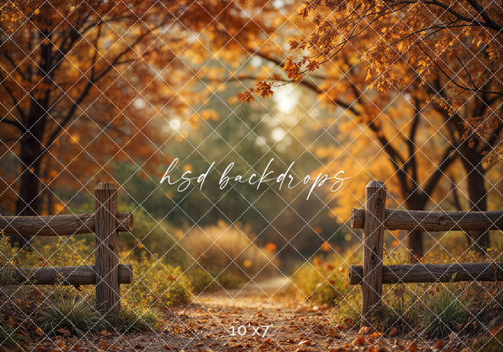 Golden Grove Trail Autumn Trees Backdrop (sweep options)