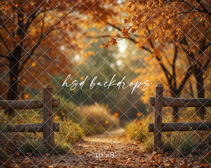 Golden Grove Trail Autumn Trees Backdrop (sweep options)