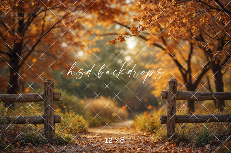 Golden Grove Trail Autumn Trees Backdrop (sweep options)