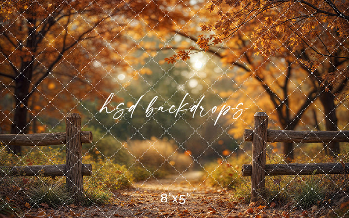 Golden Grove Trail Autumn Trees Backdrop (sweep options)