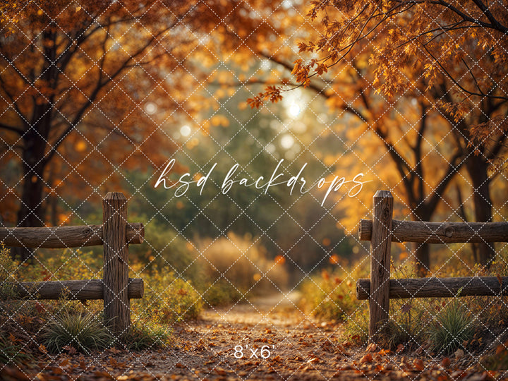 Golden Grove Trail Autumn Trees Backdrop (sweep options)