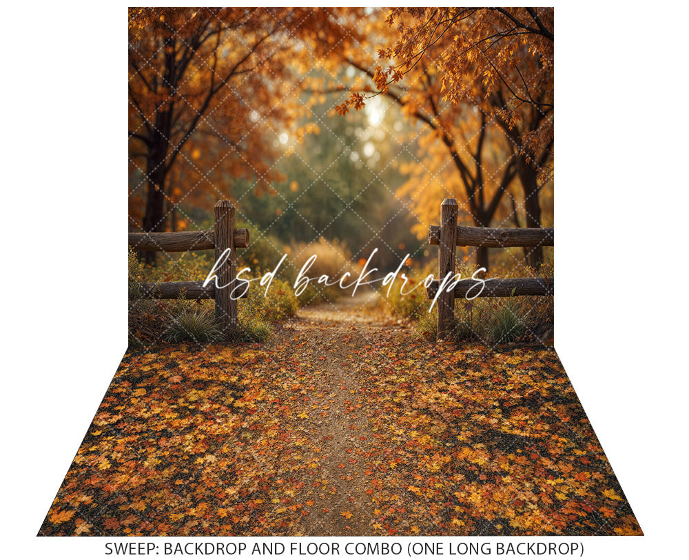 Golden Grove Trail Autumn Trees Backdrop (sweep options)