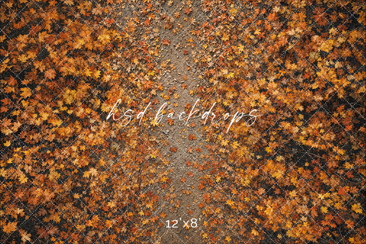 Autumn Leaves Trail – Fall Photography Floor Drop