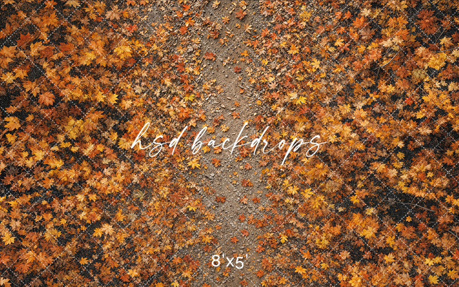 Autumn Leaves Trail – Fall Photography Floor Drop