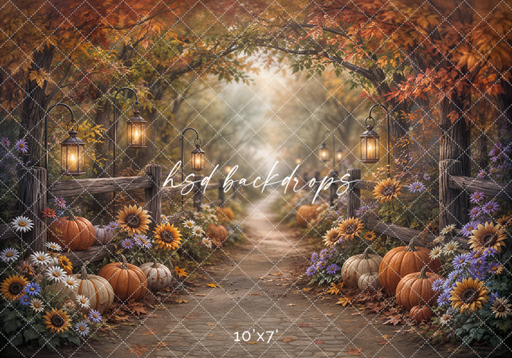 Autumn Pumpkin Path Photography Backdrop – Rustic Fall Portrait Setting | HSD Backdrops