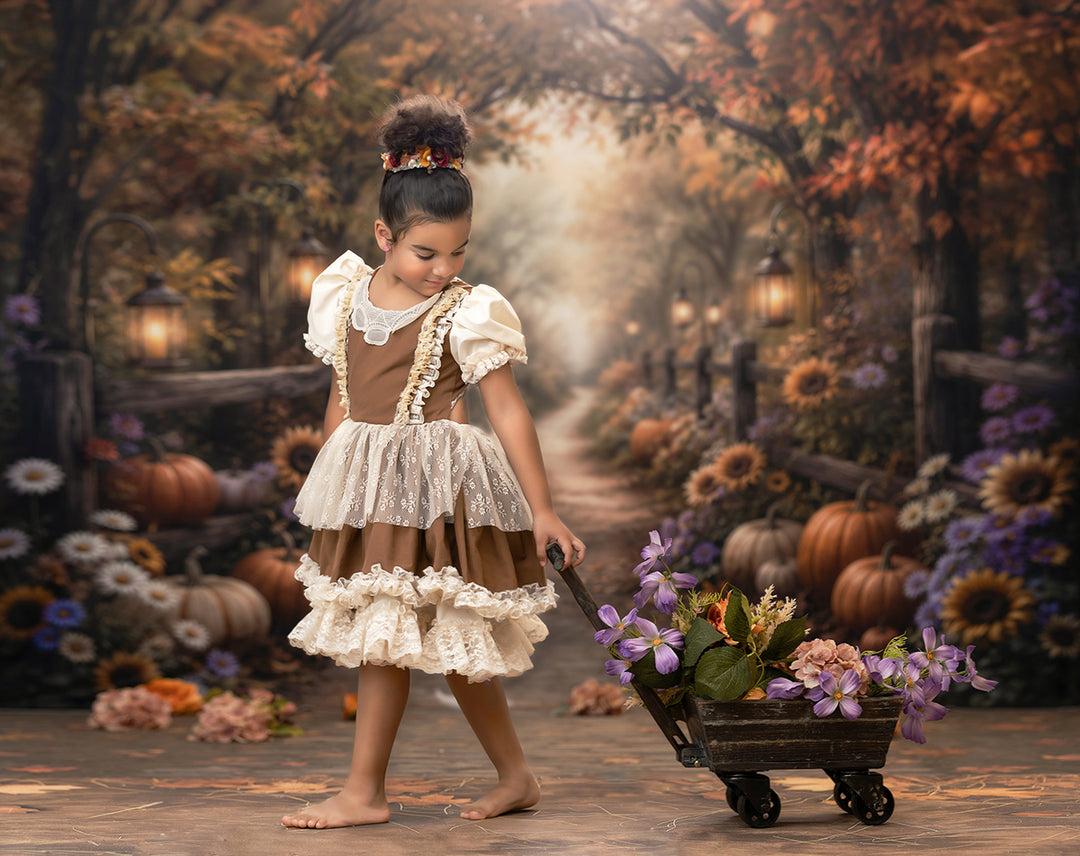 Autumn Pumpkin Path Photography Backdrop – Rustic Fall Portrait Setting | HSD Backdrops