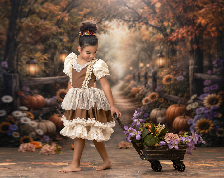 Autumn Pumpkin Path Photography Backdrop – Rustic Fall Portrait Setting | HSD Backdrops