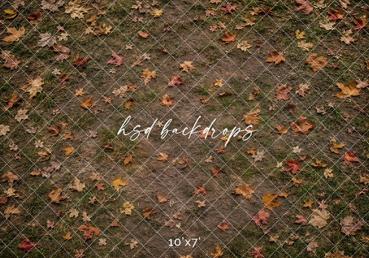 Fallen Leaves Orchard Floor Photography Backdrop – Rustic Fall Studio Floor | HSD Backdrops