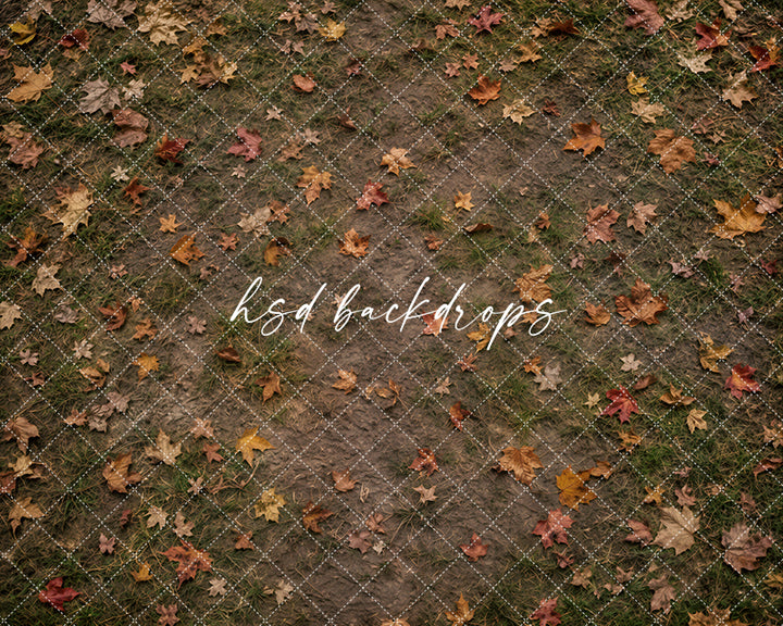 Fallen Leaves Orchard Floor Photography Backdrop – Rustic Fall Studio Floor | HSD Backdrops