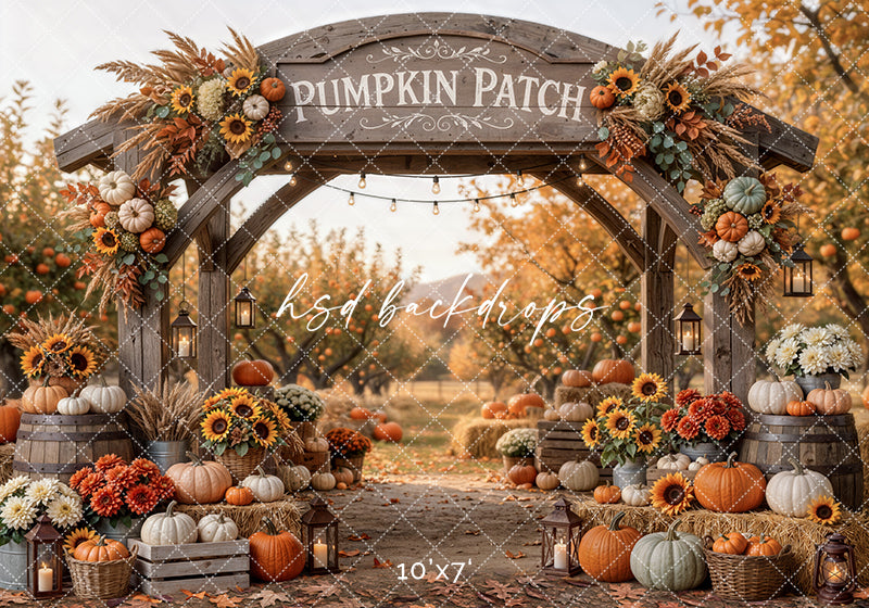 Pumpkin Patch Harvest Arch Photography Backdrop – Cozy Fall Studio Scene | HSD Backdrops