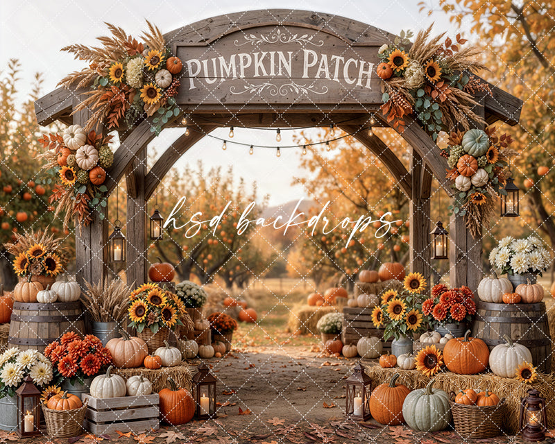 Pumpkin Patch Harvest Arch Photography Backdrop – Cozy Fall Studio Scene | HSD Backdrops