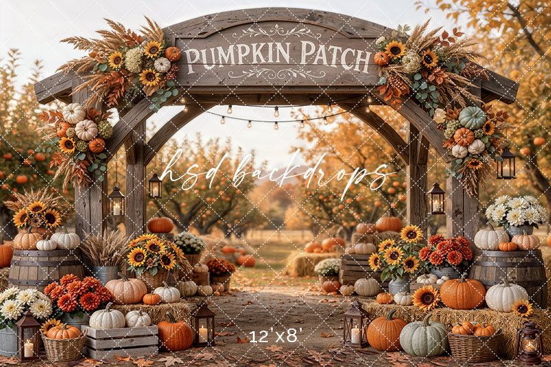 Pumpkin Patch Harvest Arch Photography Backdrop – Cozy Fall Studio Scene | HSD Backdrops