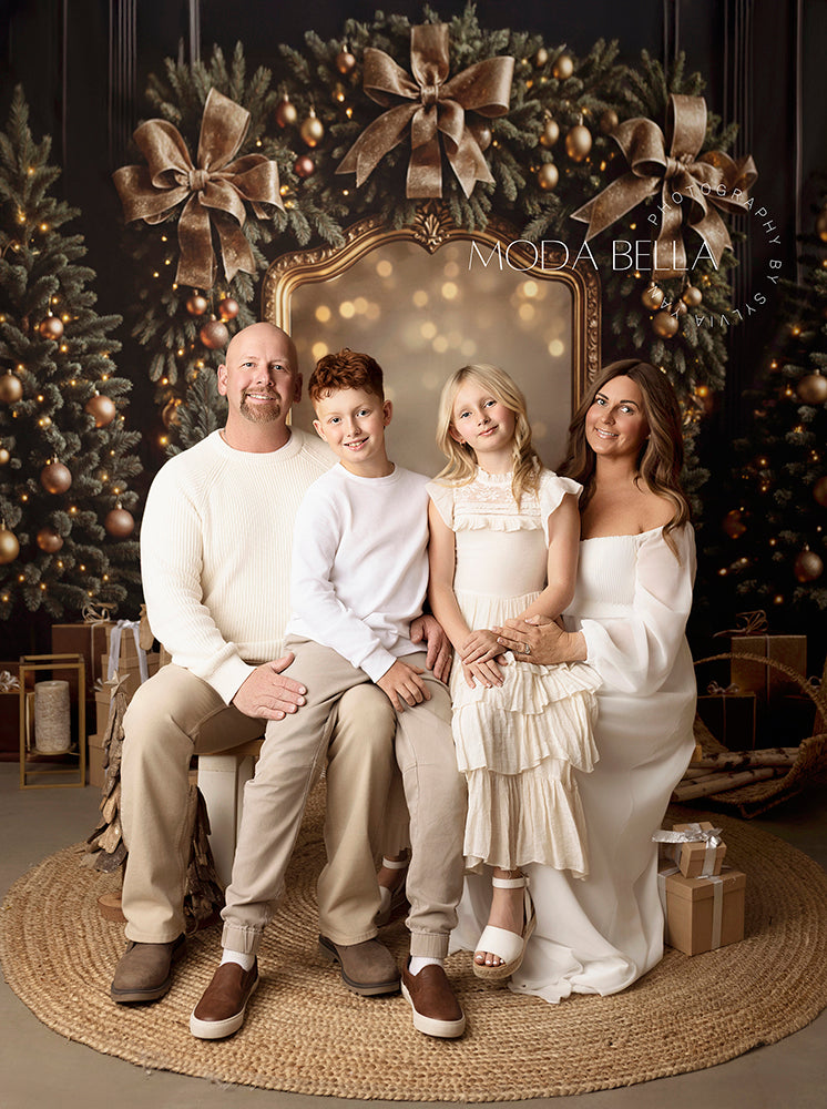 Midnight Gold Gilded Frame * Holiday Photo Background (sweep options)