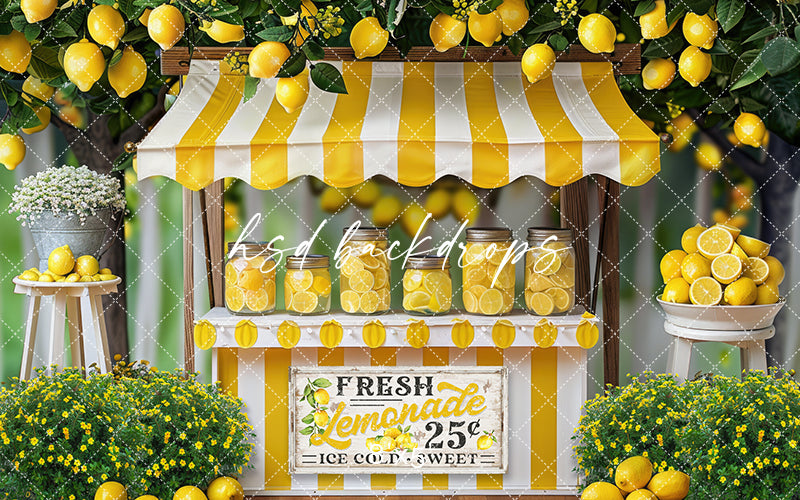 Fresh Lemonade Stand (sweep options) - HSD Photography Backdrops 