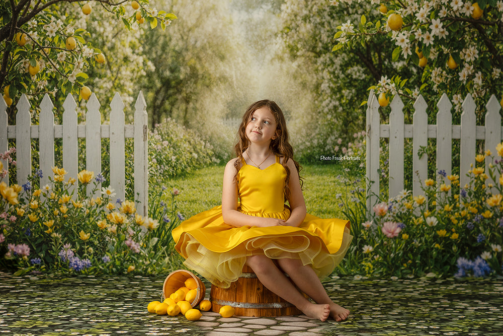Lemon Trees Orchard Entrance (sweep options)