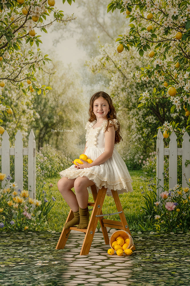 Lemon Trees Orchard Entrance (sweep options)
