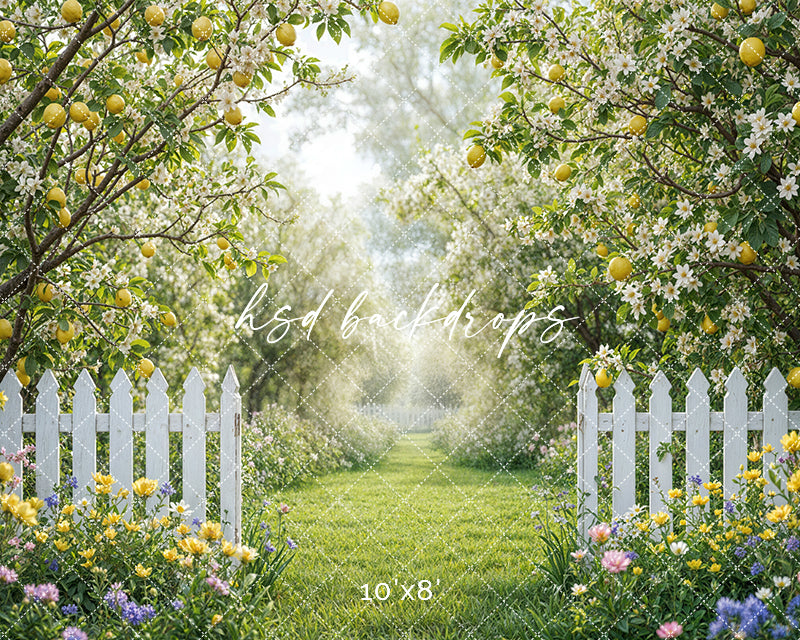 Lemon Trees Orchard Entrance (sweep options)