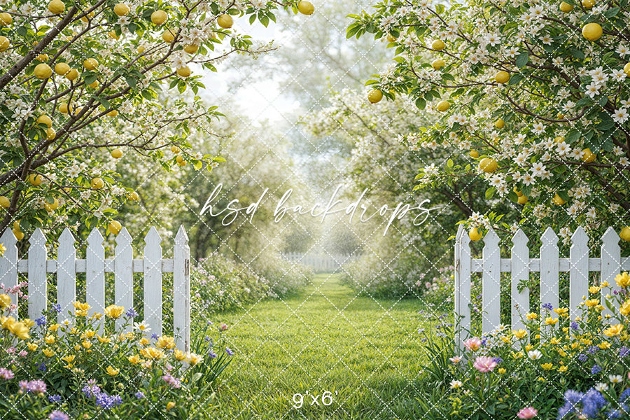 Lemon Trees Orchard Entrance (sweep options)