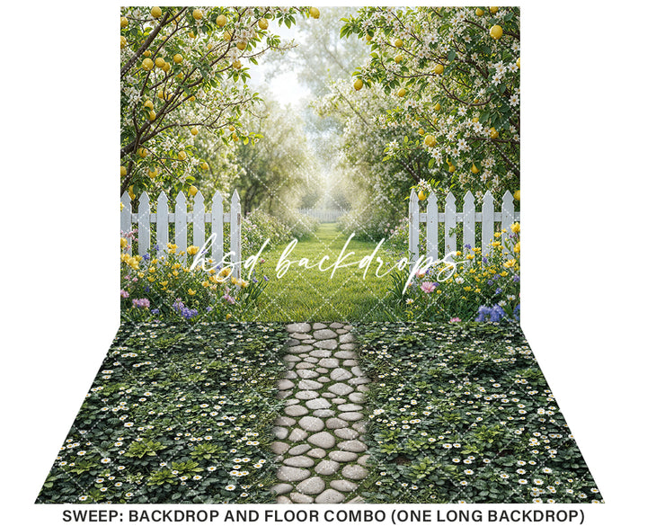 Lemon Trees Orchard Entrance (sweep options)