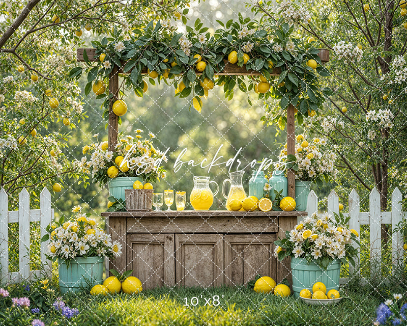 Lemonade Ground Lemonade Stand Photo Backdrop for Summer – HSD Photography Backdrops