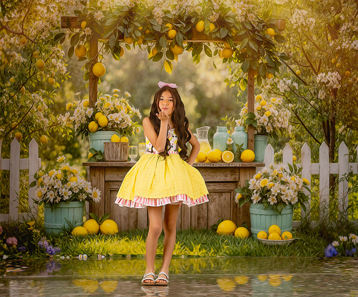 Citrus Sips Lemonade Stand (sweep options) - HSD Photography Backdrops 