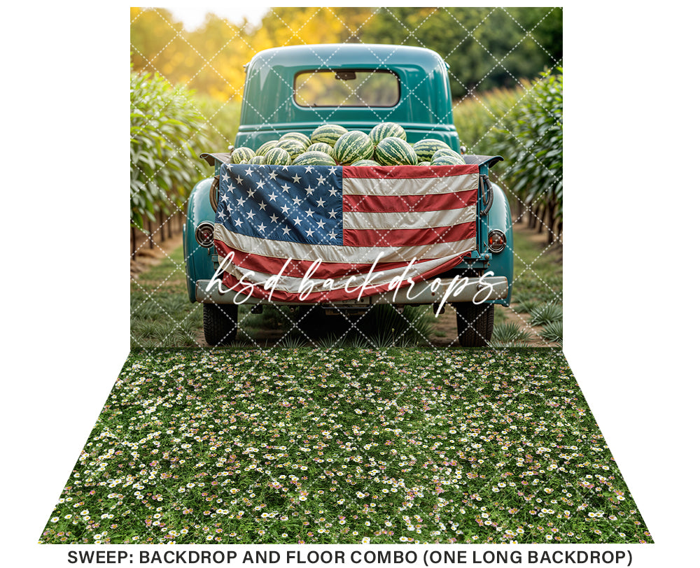 Patriotic Watermelon Truck (sweep options) - HSD Photography Backdrops 