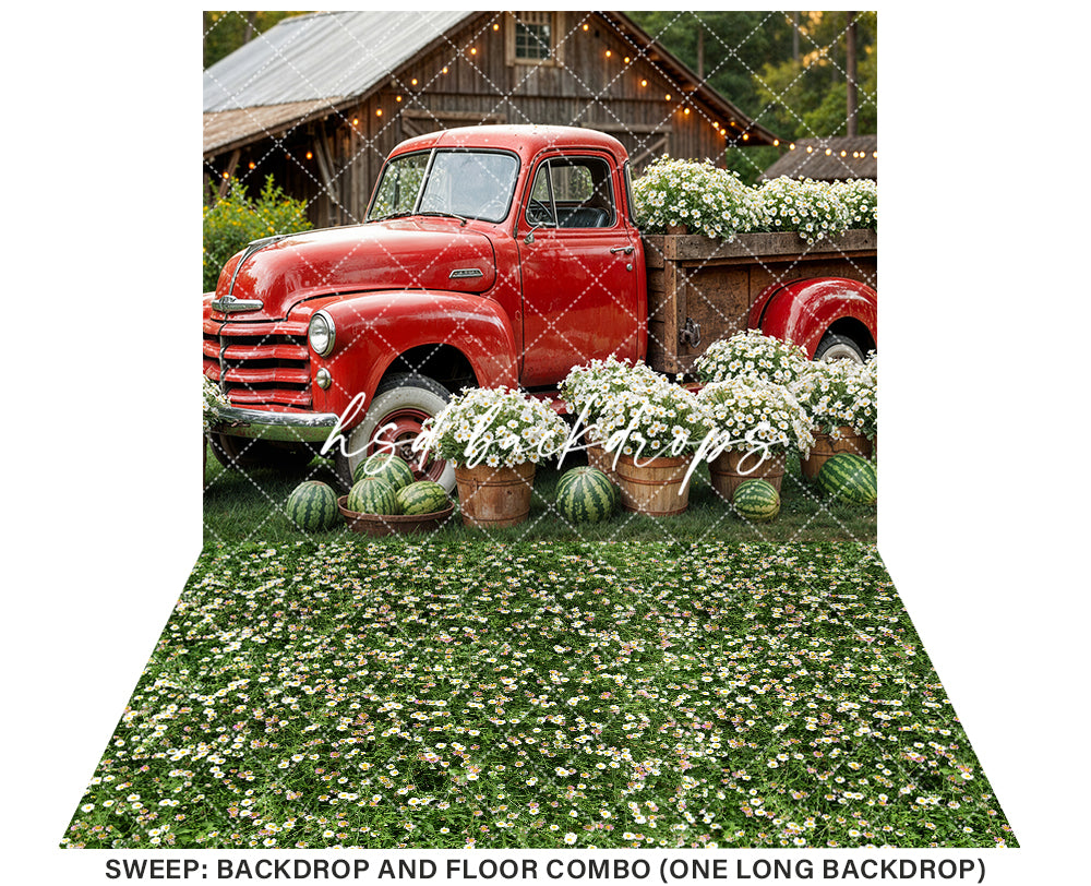 Watermelon Farm (sweep options) - HSD Photography Backdrops 
