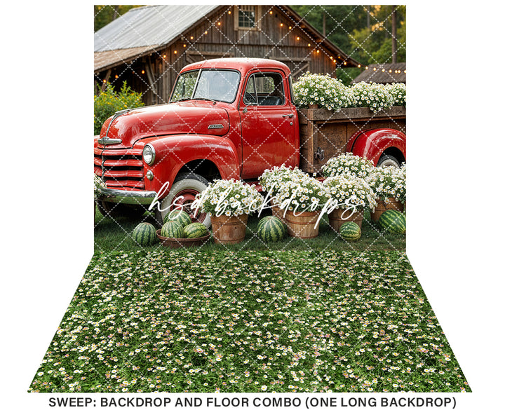 Watermelon Farm (sweep options) - HSD Photography Backdrops 