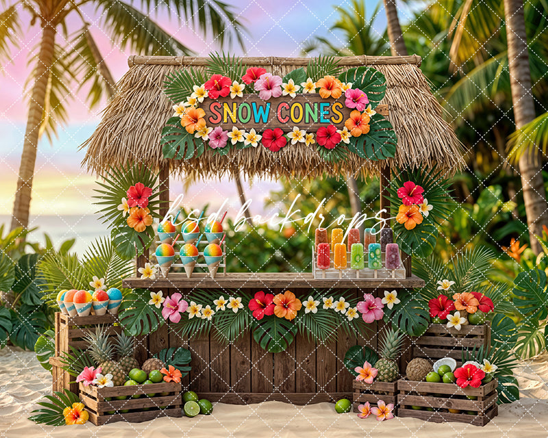 Tropical Snow Cone Stand Photography Backdrop – Colorful Summer Beach Portrait Scene | HSD Backdrops