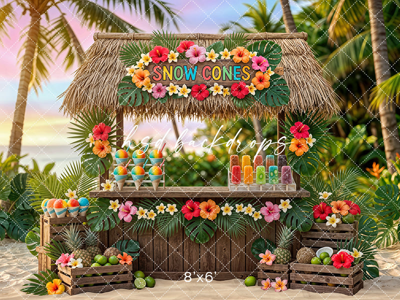 Tropical Snow Cone Stand Photography Backdrop – Colorful Summer Beach Portrait Scene | HSD Backdrops