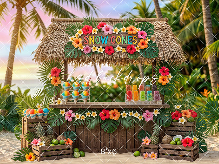 Tropical Snow Cone Stand Photography Backdrop – Colorful Summer Beach Portrait Scene | HSD Backdrops