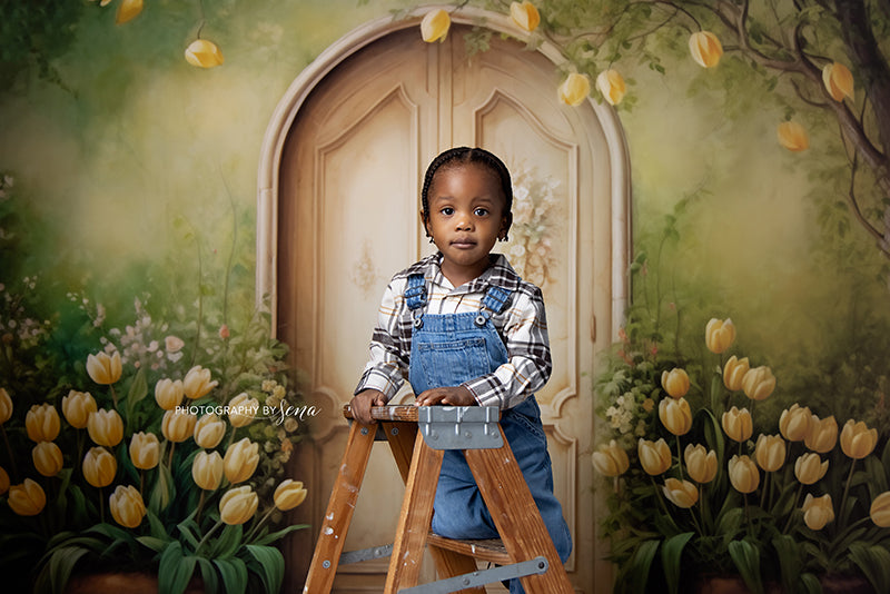 Antique Spring Door (sweep options) - HSD Photography Backdrops 